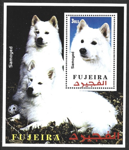 Fujeira samoyed dog mnh m - samoyed, m/s