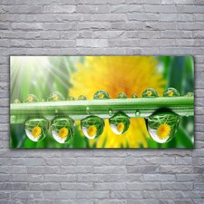 Glass print Wall art 120x60
