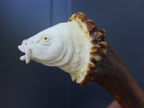 Antler catapult with fish - , carp