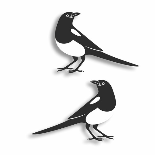Magpie birds vinyl - birds, decal