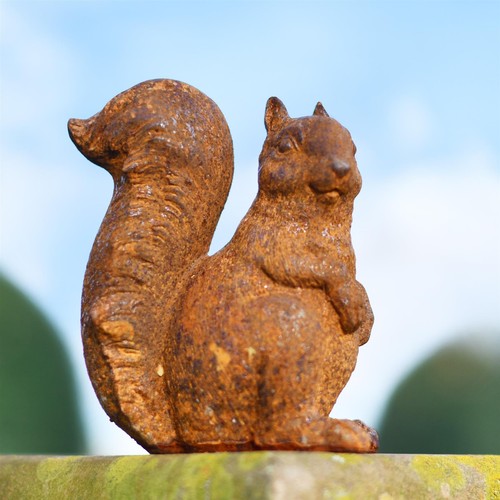 Squirrel rustic garden statue - rustic,