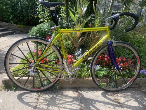 Giant tcr compact - giant,