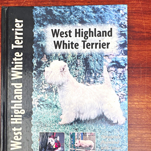 Pet love west highland - pet, white