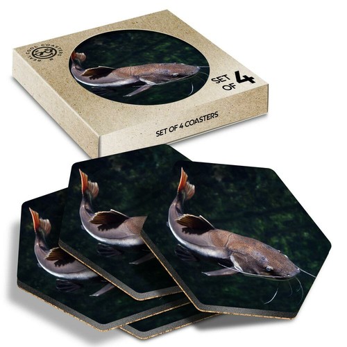 Hexagon coasters redtail - 4,