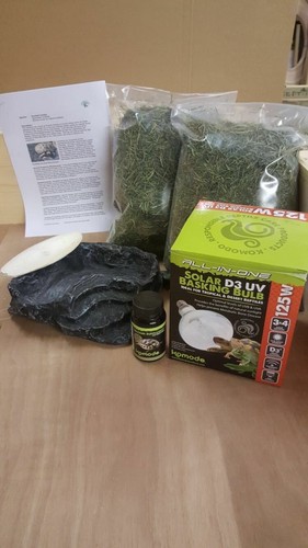 Tortoise table and starter - tortoise, kit