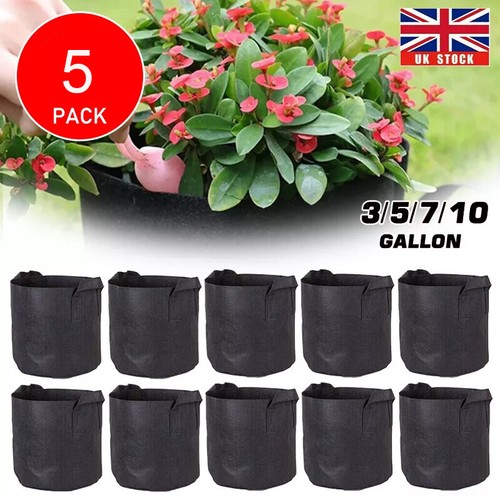 Large plant grow - 5x,