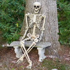 160cm Giant Life Size Human Skeleton Model Horror Bone Posable Halloween Decor N