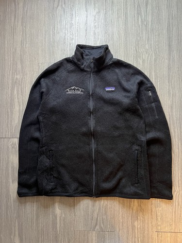 Patagonia synchilla fleece - synchilla,
