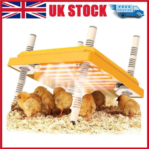 Chick brooder heat - 10, "x