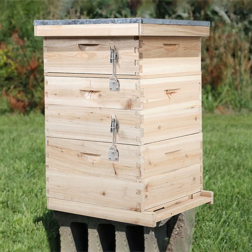 Langstroth beehive tiers - beehive,