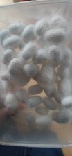 10*Full dead silkworm cocoons