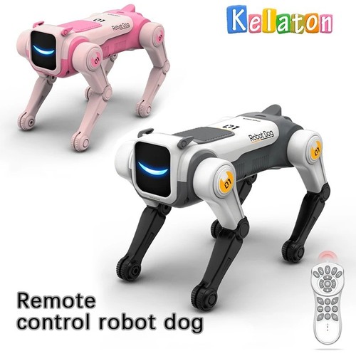 Intelligent smart robot - rc,