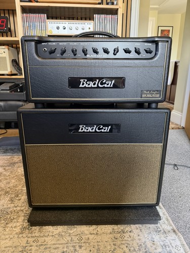 Bad cat mod - cat, 30