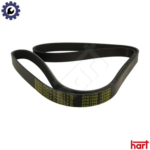 Vribbed belt 368 946 - vribbed, for