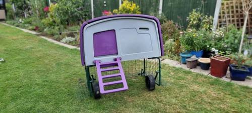 Eglu omlet cube - chicken, coop