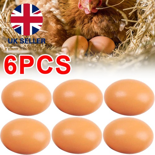 Smooth wood artificial eggs - artificial,