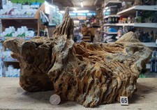 Derwen Oak Bogwood 30-60cm Dense Driftwood ideal for aquariums & vivariums