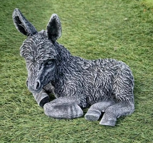 Garden ornament donkey - garden,