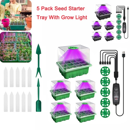 Pack mini greenhouse - 5, seed