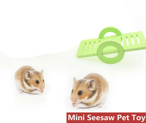 Fun pet hamster seesaw - pet,