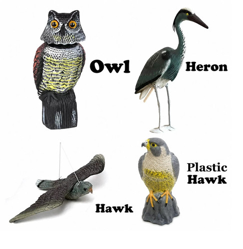 Hawk owl heron decoy bird - hawk,