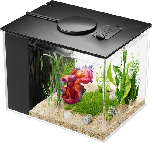 Aquarium fish tank with - aquarium,