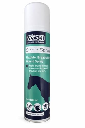 Silver spray for - silver,