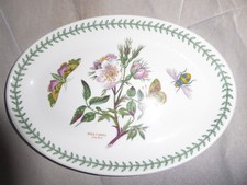 Portmeirion Botanic Garden