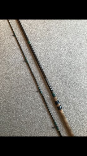 Silstar powerwind 12ft - silstar, carp