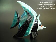 Beautiful GLASS FISH