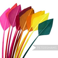 Arrowhead Turkey Quill Feather