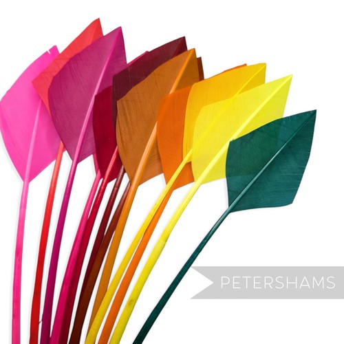 Arrowhead turkey quill feather - turkey,