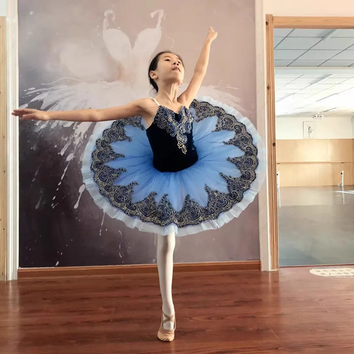 Professional ballet tutu dress - tutu,