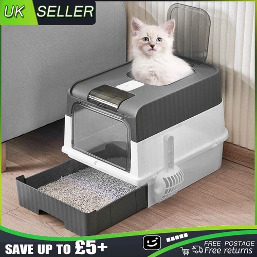 Large cat litter box - cat,