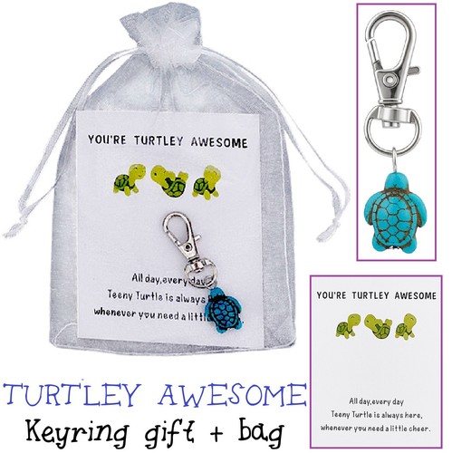 You turtley awesome - you're,