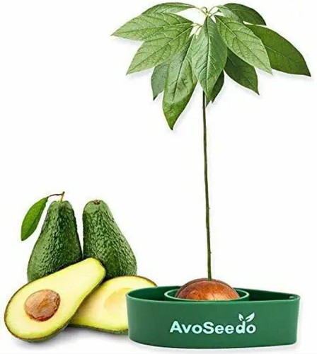 Avoseedo grow your own - grow,