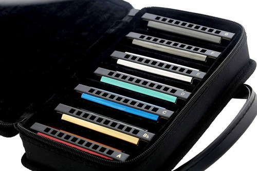 Diatonic harmonica set - harmonica,