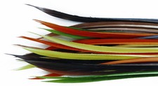 Turkey Biots for Fly Tying