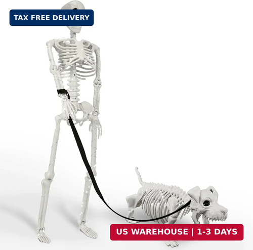 Lighted human dog skeleton - dog,
