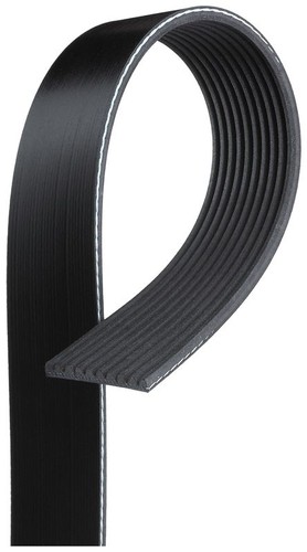 Ribbed belt fits volvo - belt,