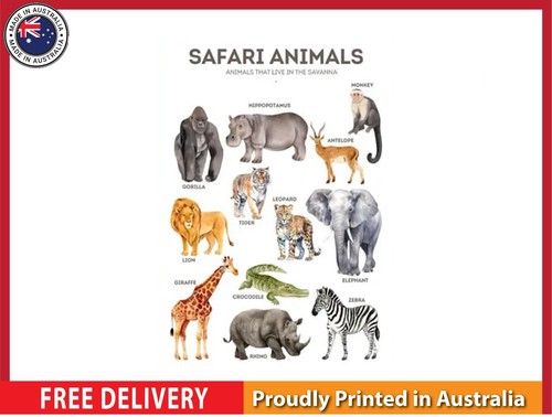 New safari animals - new,