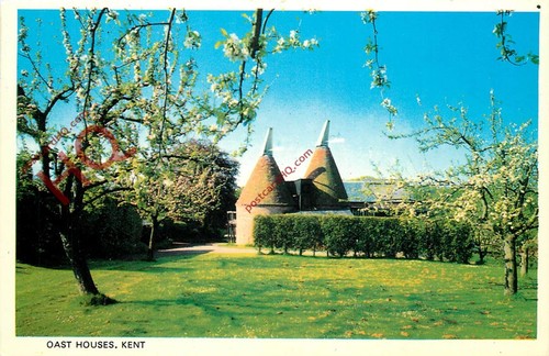 Picture postcard kent - picture, postcard__kent,