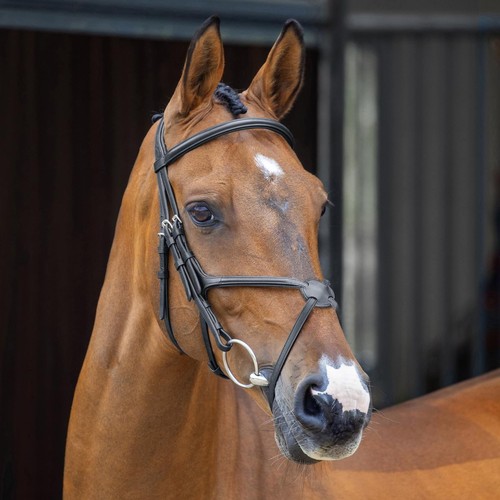 Shires lusso grackle bridle - lusso,
