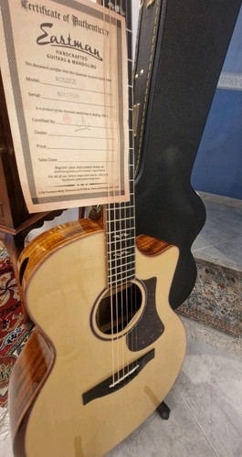 All solid guitar - all, eastman