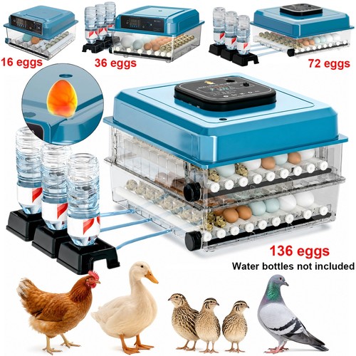 Fully automatic incubator - automatic,