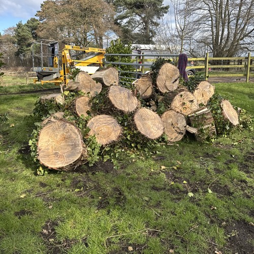 Firewood logs wood log - wood, burner