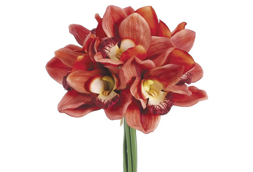 Real touch cymbidium - 12",