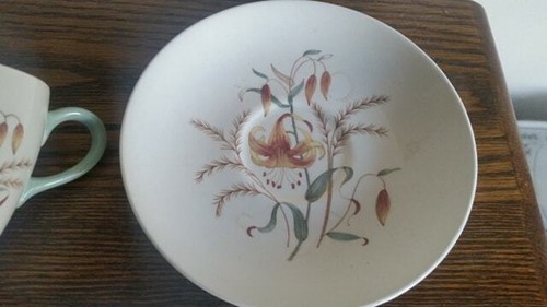 Wedgwood 1950s tiger - wedgwood, lily
