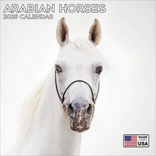 Arabian Horses Calendar 2026 - Animal Wall Calendar - Made in the USA!