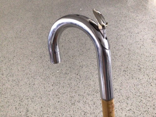 Walking stick equestrian horse - walking,